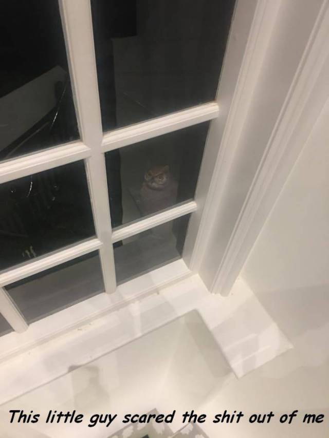 daily picdump 97 pics 41.html - 97 HD Photos | Premium Gallery 2017