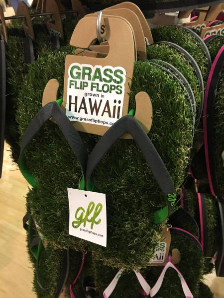 morning picdump 50 pics 4.html - 50 HD Photos | Premium Gallery 2017