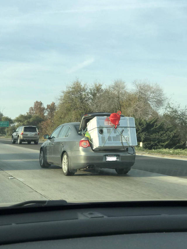 morning picdump 50 pics 4.html - 50 HD Photos | Premium Gallery 2017