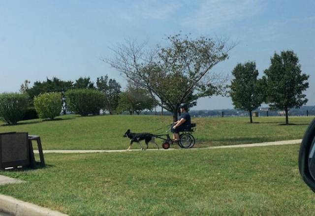 Being Lazy Is So Easy