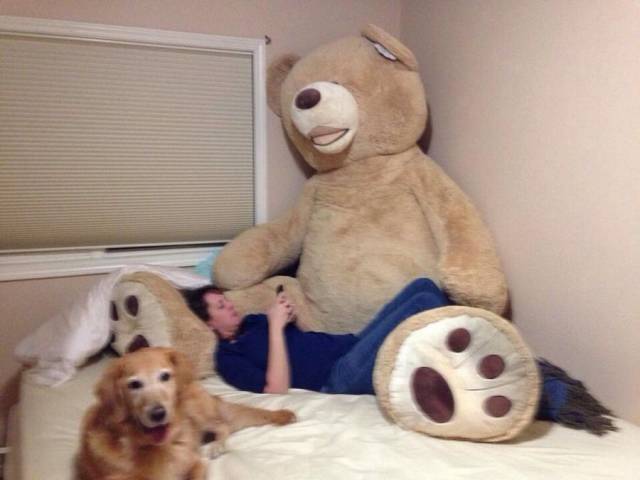 daily picdump 95 pics 24.html - 95 HD Photos | Premium Gallery 2017