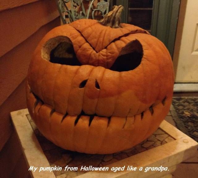 daily picdump 95 pics 24.html - 95 HD Photos | Premium Gallery 2017