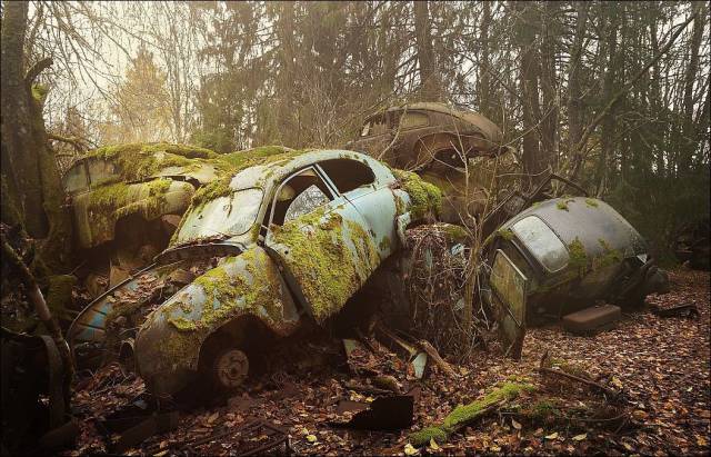 daily picdump 95 pics 24.html - 95 HD Photos | Premium Gallery 2017