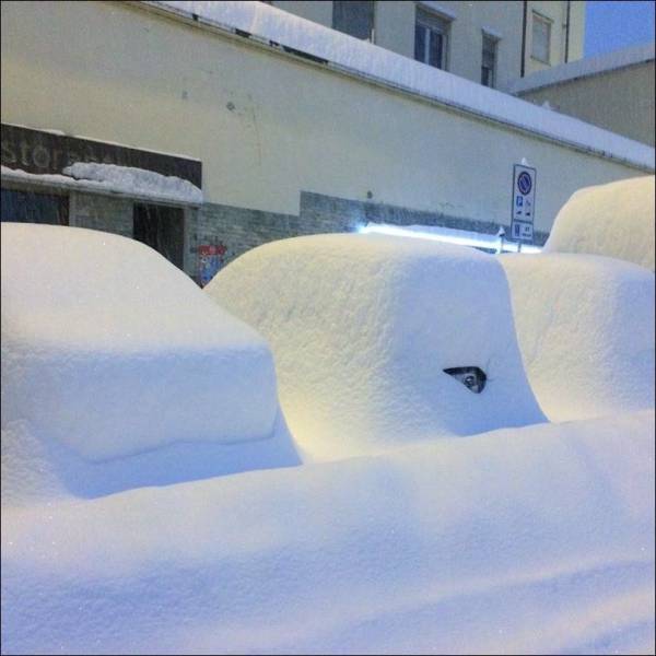 daily picdump 95 pics 24.html - 95 HD Photos | Premium Gallery 2017