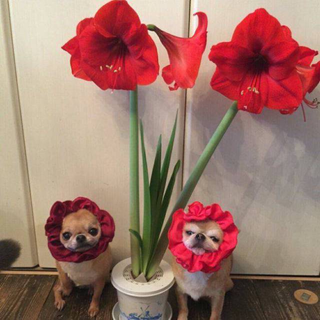 daily picdump 95 pics 24.html - 95 HD Photos | Premium Gallery 2017