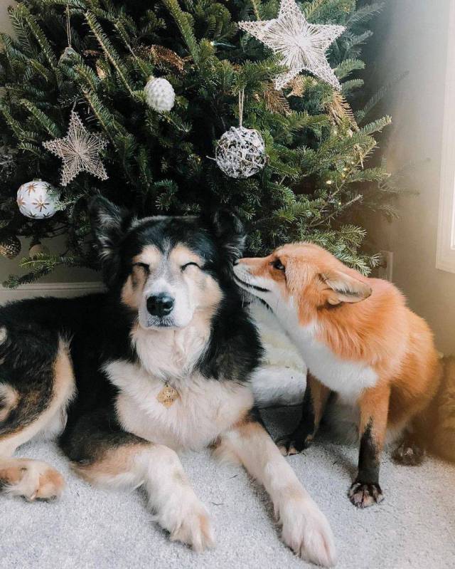 daily picdump 95 pics 24.html - 95 HD Photos | Premium Gallery 2017