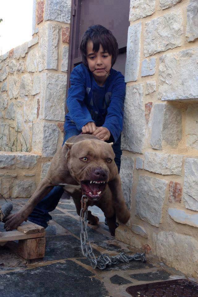 daily picdump 95 pics 24.html - 95 HD Photos | Premium Gallery 2017