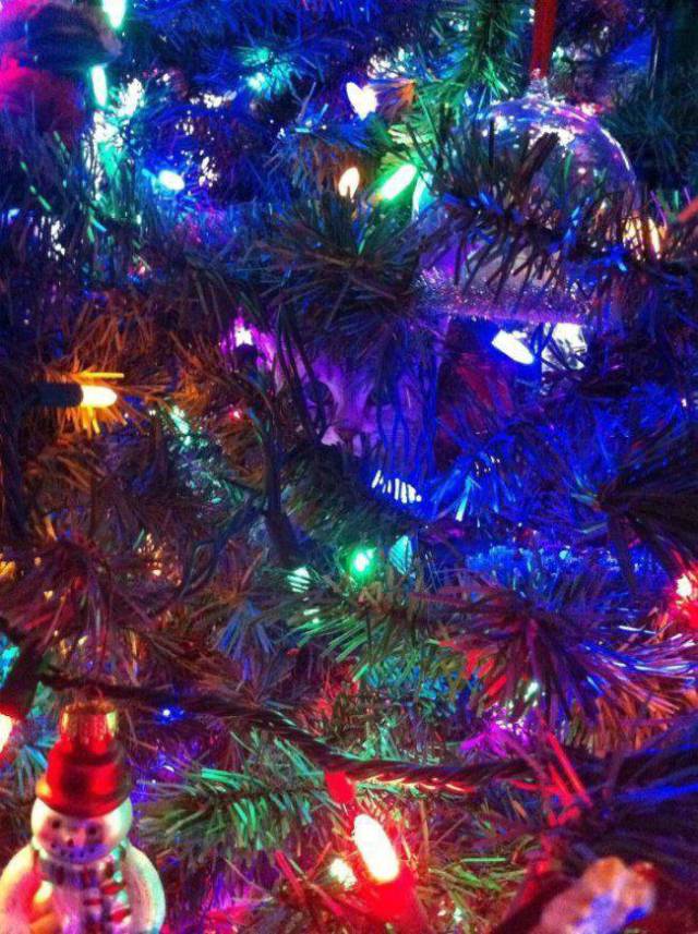 daily picdump 95 pics 24.html - 95 HD Photos | Premium Gallery 2017