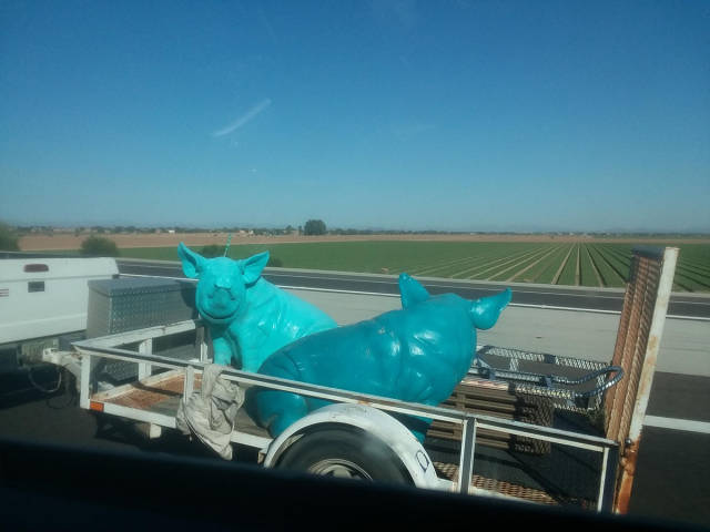 morning picdump 50 pics 2.html - 50 HD Photos | Premium Gallery 2017