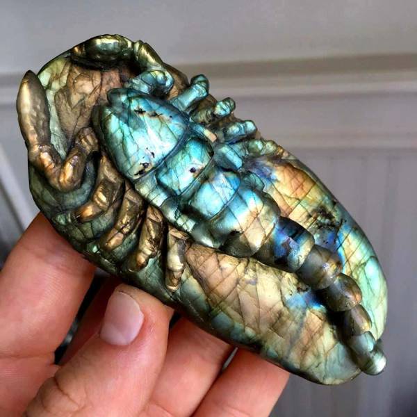 morning picdump 50 pics 2.html - 50 HD Photos | Premium Gallery 2017