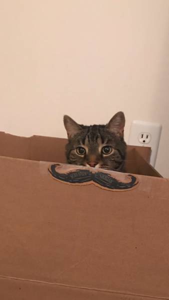 morning picdump 50 pics 2.html - 50 HD Photos | Premium Gallery 2017