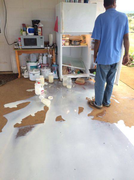 morning picdump 50 pics 2.html - 50 HD Photos | Premium Gallery 2017