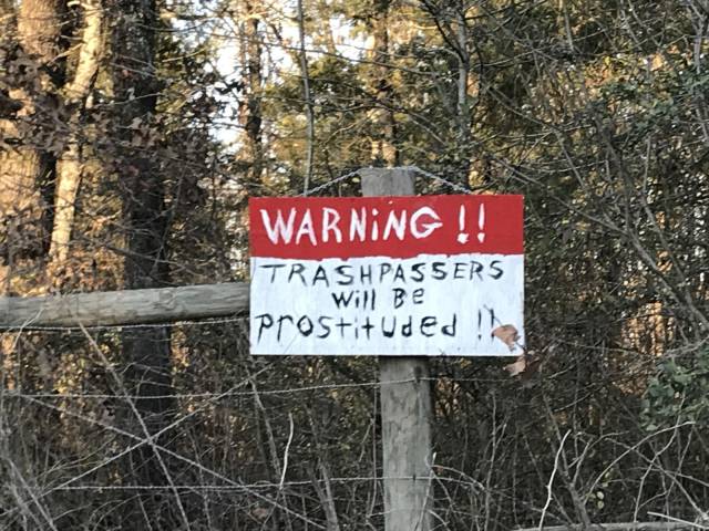 Daily Picdump [WEEKEND EDITION]