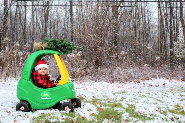 daily picdump weekend edition 60 pics 5.html - 60 HD Photos | Premium Gallery 2017