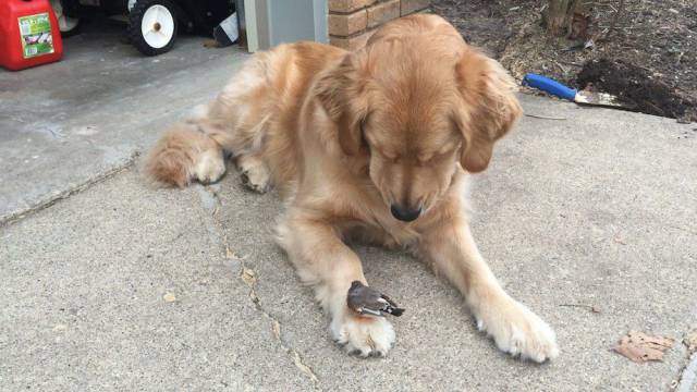 daily picdump weekend edition 60 pics 5.html - 60 HD Photos | Premium Gallery 2017