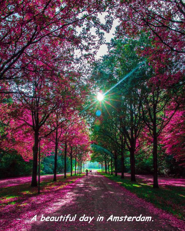 daily picdump weekend edition 60 pics 5.html - 60 HD Photos | Premium Gallery 2017