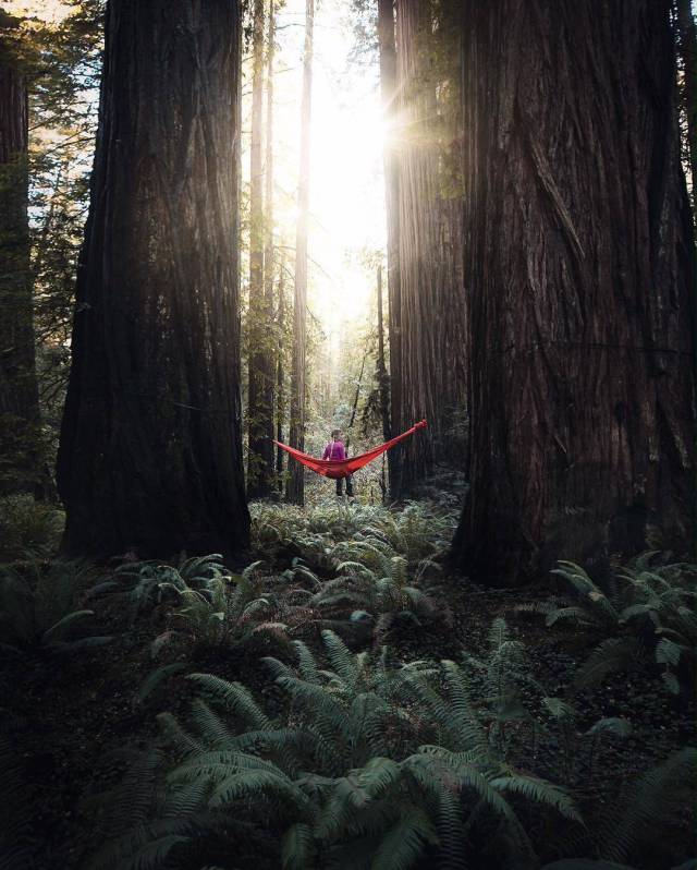 daily picdump weekend edition 60 pics 5.html - 60 HD Photos | Premium Gallery 2017