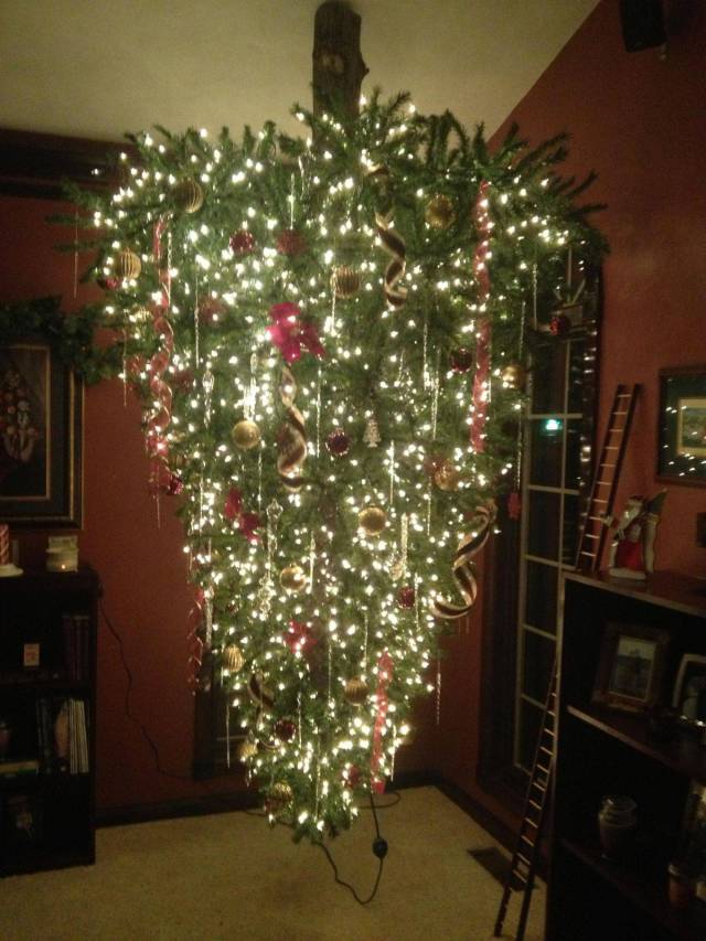 daily picdump weekend edition 60 pics 5.html - 60 HD Photos | Premium Gallery 2017