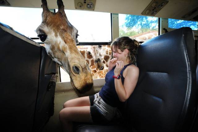 daily picdump 96 pics 36.html - 96 HD Photos | Premium Gallery 2017