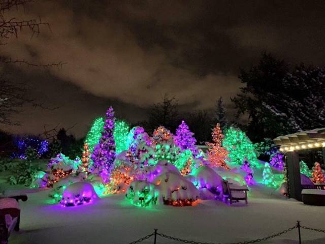 daily picdump 96 pics 36.html - 96 HD Photos | Premium Gallery 2017