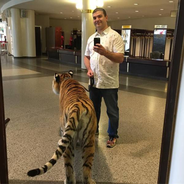 daily picdump 96 pics 36.html - 96 HD Photos | Premium Gallery 2017