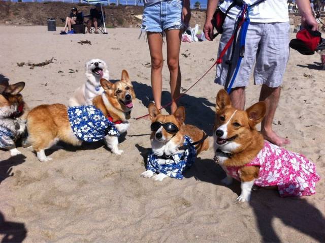 daily picdump 96 pics 36.html - 96 HD Photos | Premium Gallery 2017