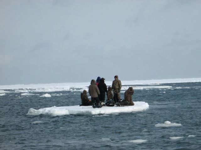 daily picdump 96 pics 36.html - 96 HD Photos | Premium Gallery 2017