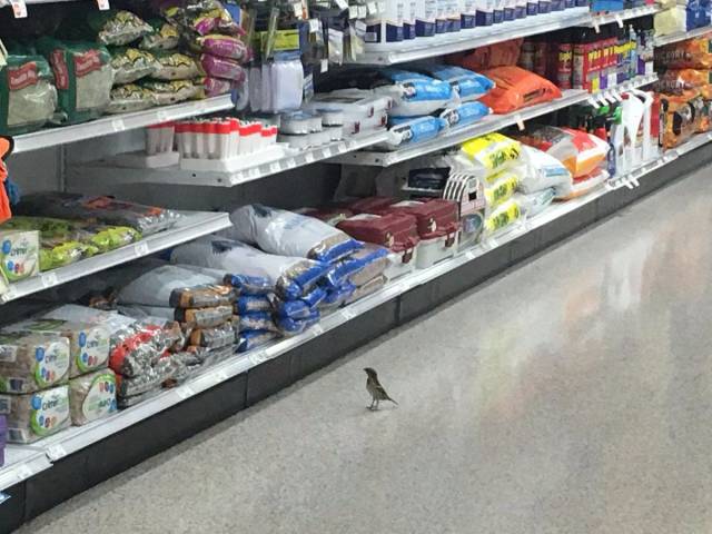 daily picdump 96 pics 36.html - 96 HD Photos | Premium Gallery 2017