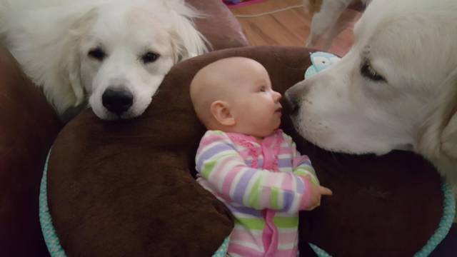 daily picdump 96 pics 36.html - 96 HD Photos | Premium Gallery 2017