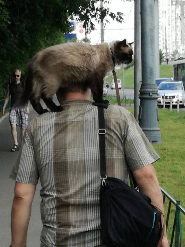 daily picdump 96 pics 36.html - 96 HD Photos | Premium Gallery 2017