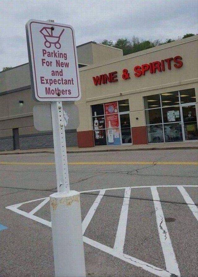 daily picdump 96 pics 36.html - 96 HD Photos | Premium Gallery 2017