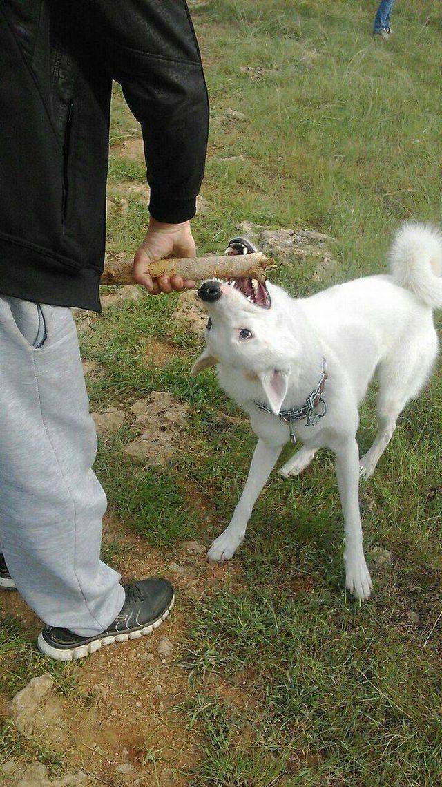 daily picdump 96 pics 36.html - 96 HD Photos | Premium Gallery 2017