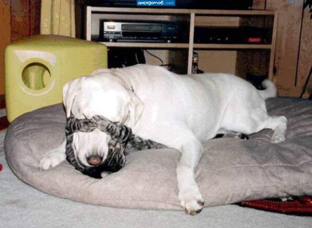 daily picdump 94 pics 28.html - 94 HD Photos | Premium Gallery 2017