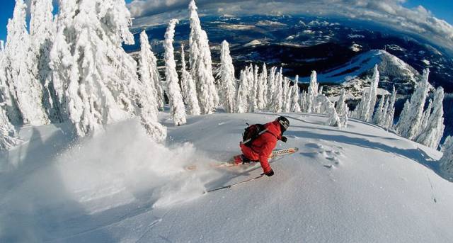 daily picdump 94 pics 28.html - 94 HD Photos | Premium Gallery 2017