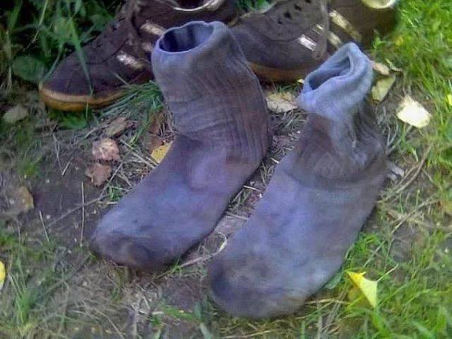 daily picdump 94 pics 28.html - 94 HD Photos | Premium Gallery 2017