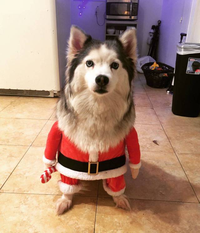 daily picdump 94 pics 28.html - 94 HD Photos | Premium Gallery 2017