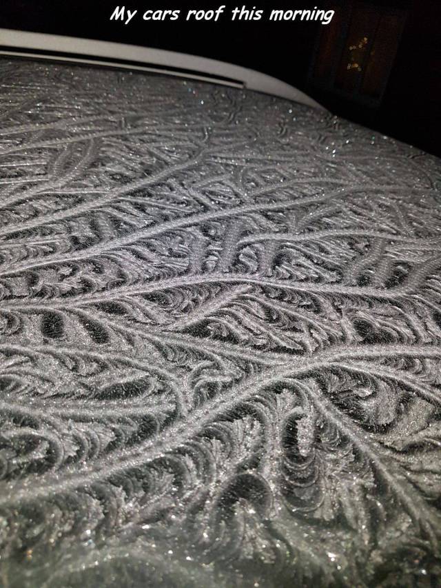 daily picdump 94 pics 28.html - 94 HD Photos | Premium Gallery 2017