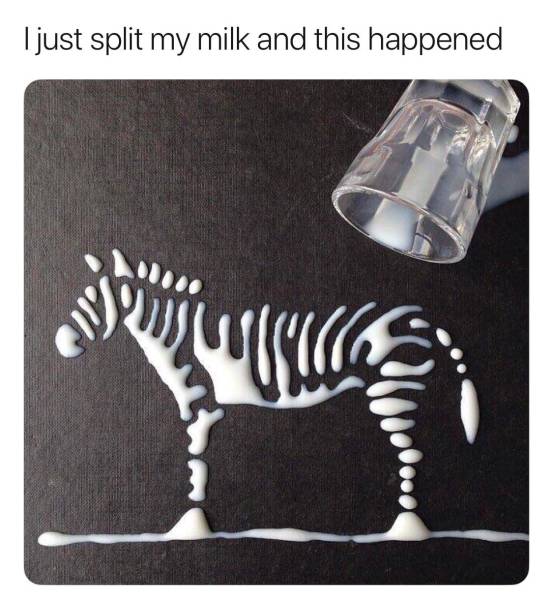 morning picdump 52 pics 9.html - 52 HD Photos | Premium Gallery 2017