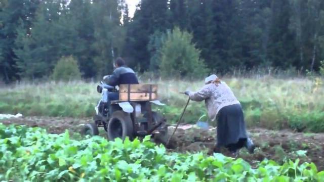 Women Aren’t Always The Weaker Sex