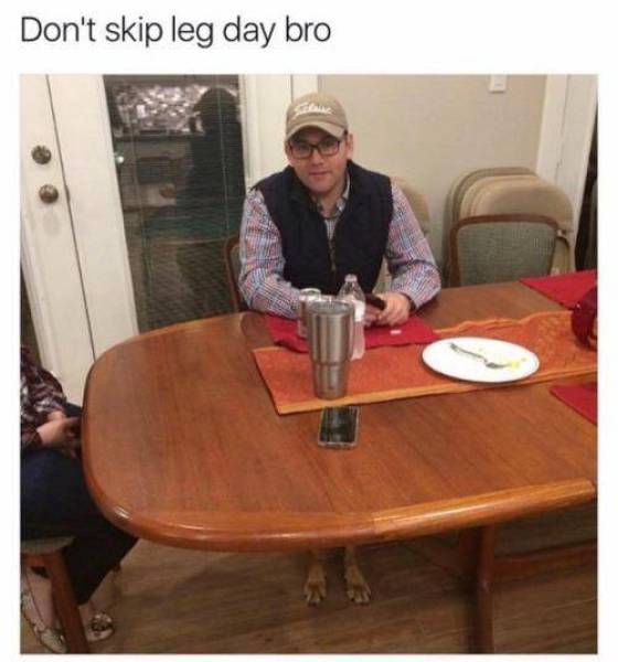 funny picdump 53 pics 14.html - 53 HD Photos | Premium Gallery 2017