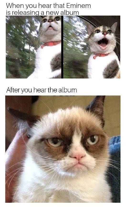 funny picdump 53 pics 14.html - 53 HD Photos | Premium Gallery 2017