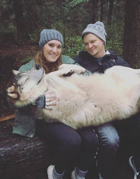 morning picdump 51 pics 1.html - 51 HD Photos | Premium Gallery 2017