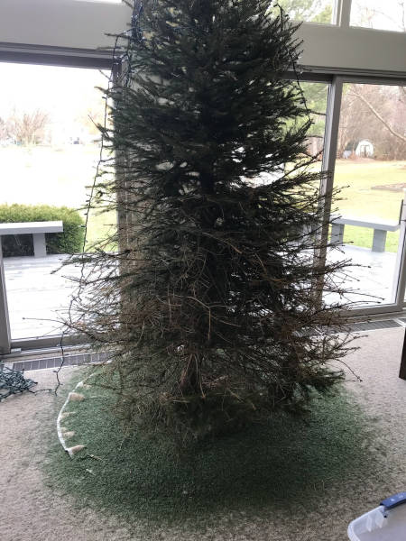 morning picdump 51 pics 1.html - 51 HD Photos | Premium Gallery 2017