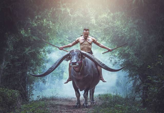 morning picdump 51 pics 1.html - 51 HD Photos | Premium Gallery 2017