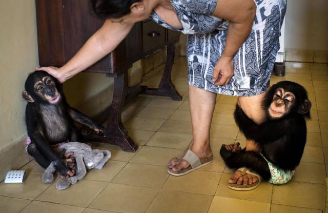 daily picdump 97 pics 41.html - 97 HD Photos | Premium Gallery 2017