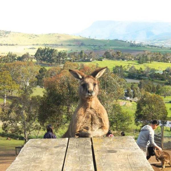 daily picdump 97 pics 41.html - 97 HD Photos | Premium Gallery 2017