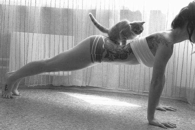 daily picdump 97 pics 41.html - 97 HD Photos | Premium Gallery 2017