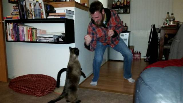 daily picdump 97 pics 41.html - 97 HD Photos | Premium Gallery 2017