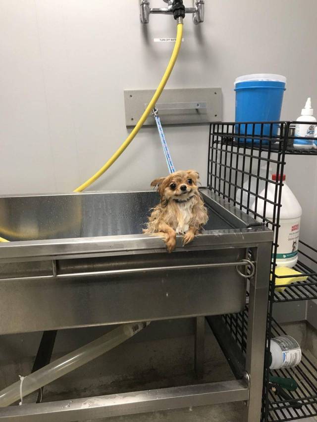 daily picdump 97 pics 41.html - 97 HD Photos | Premium Gallery 2017