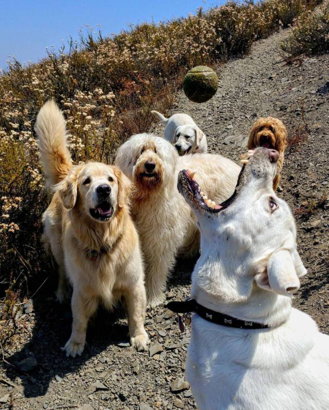 daily picdump 97 pics 41.html - 97 HD Photos | Premium Gallery 2017